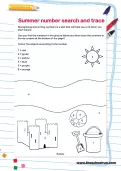 Summer number search and trace