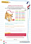 Adding -ies to form the plural worksheet