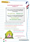 Apostrophes and singular nouns ending in -s