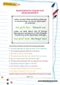 Apostrophes for singular and plural possession worksheet