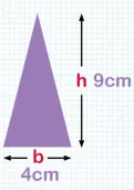 Calculating the area of a triangle tutorial
