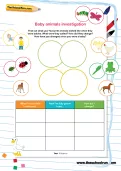 Baby animals investigation