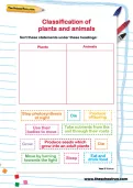 Classification of plants and animals activity