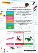 Classifying invertebrates worksheet