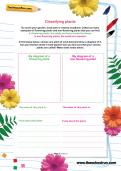 Classifying plants worksheet