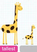 Comparing heights of different objects tutorial