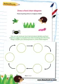 Draw a food chain diagram worksheet