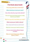 Find facts about teeth worksheet