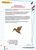 Food chains and interdependence activity