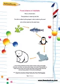Food chains in habitats worksheet