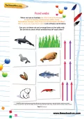 Food webs worksheet