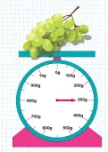 Measuring the weight of objects in grams tutorial