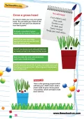 Grow a grass head activity