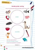 Handling data: sorting worksheet