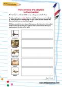 How animals are adapted to their habitat worksheet