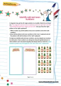 Identify odd and even numbers worksheet