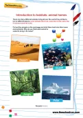 Introduction to habitats: animal homes activity