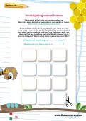 Investigating animal homes worksheet