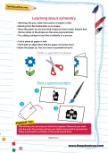 Learning about symmetry activity