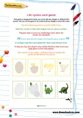 Life cycles card game