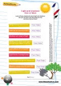 Light and shadows true or false worksheet