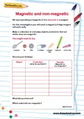 Magnetic and non-magnetic activity