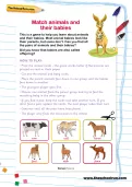 Match animals and their babies activity