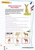 Match animals and their babies activity