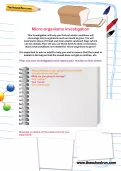 Micro-organisms investigation