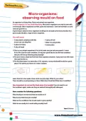 Micro-organisms: observing mould on food activity