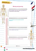 Moving and growing worksheet