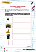 Non-reversible changes: burning worksheet