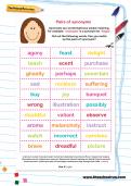 Pairs of synonyms worksheet