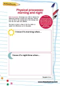 Physical processes: morning and night worksheet