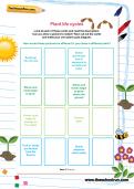Plant life cycles worksheet