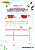 Pollination and fertilisation worksheet