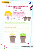 Predictions and conclusions: life cycles worksheet