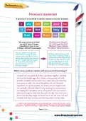 Pronouns explained worksheet