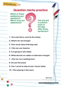 Question marks practice worksheet