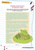 Reading comprehension: an afternoon outing