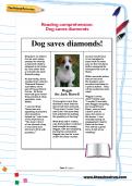 Reading comprehension: Dog saves diamonds