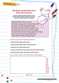 Reading comprehension: My Little Brother