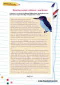 Reading comprehension: new home