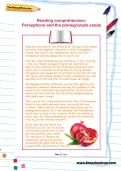 Reading comprehension: Persephone and the pomegranate seeds