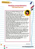 Reading comprehension: the bad haircut