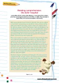 Reading comprehension: the dolls’ hospital