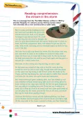 Reading comprehension: the stream in the storm