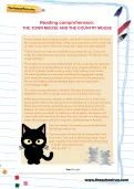 Reading comprehension: THE TOWN MOUSE AND THE COUNTRY MOUSE