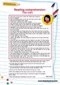 Reading comprehension: the visit