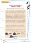 Reading comprehension: underwater parade